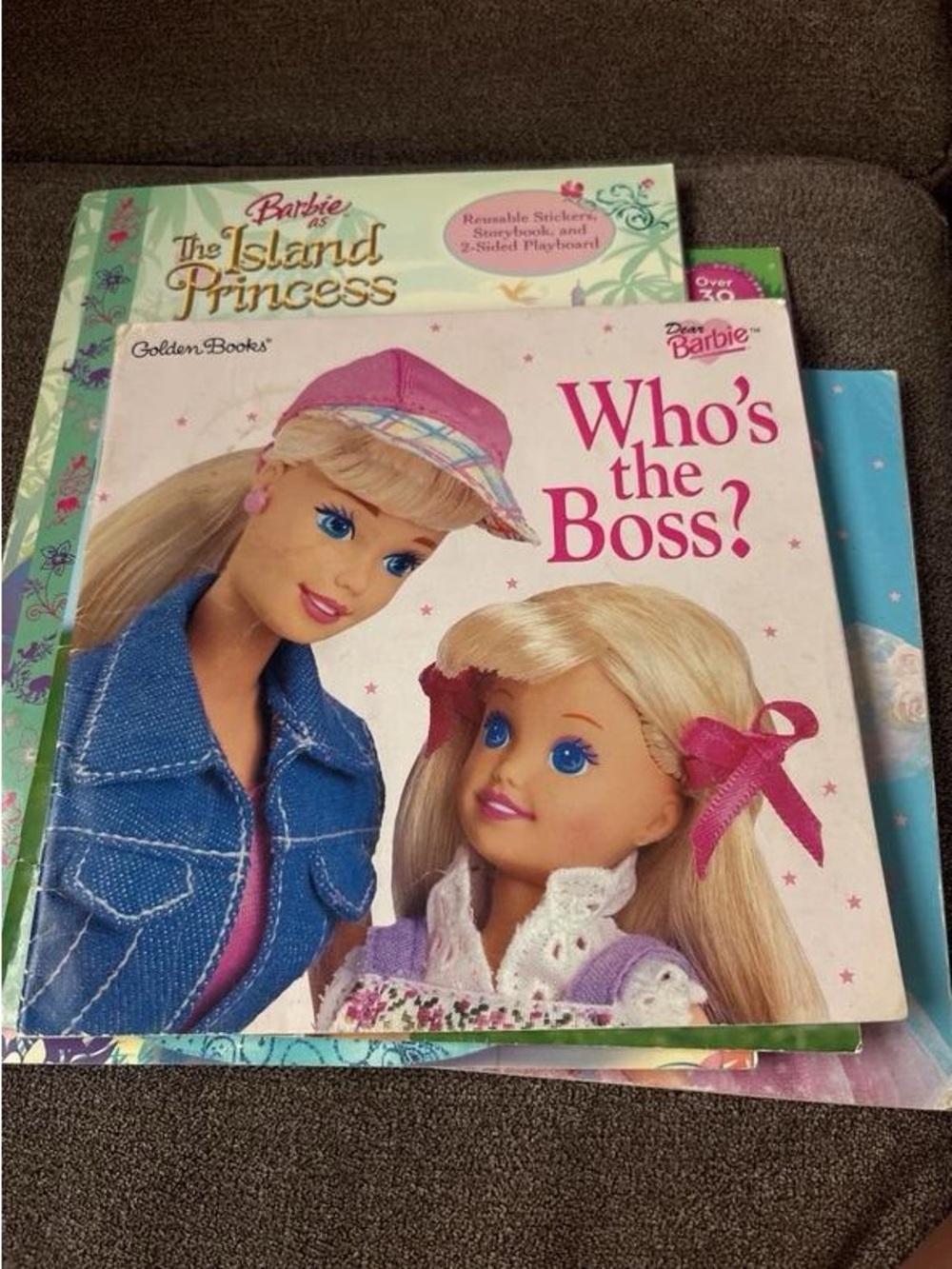 Barbie Who's the Boss? Picture Book - Barbie Brand, Pink Accents